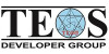 Teos Developer Group логотип фото