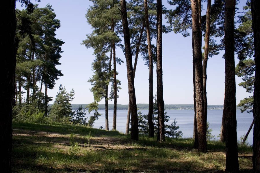 Фото: «Сосновый берег» КГ в Хотомле