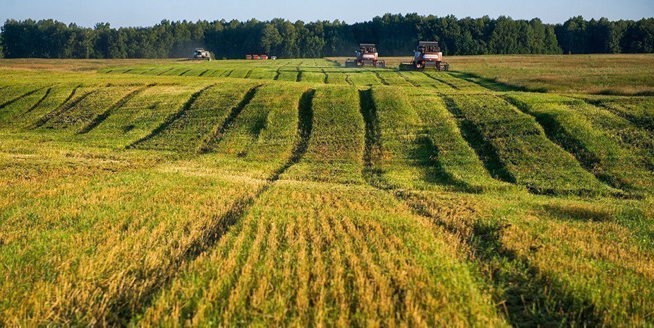 Зеленский подписал указ о передаче сельхозземель картинка