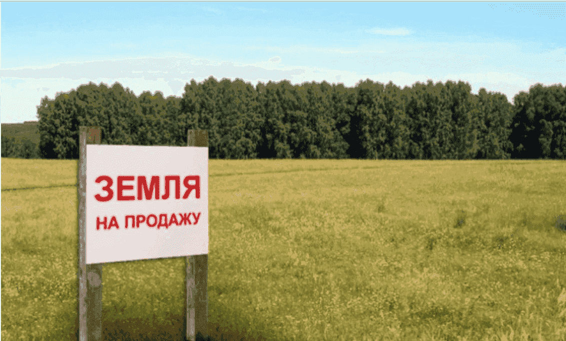 Государству вернут 180 га земли стоимостью 50 млн грн