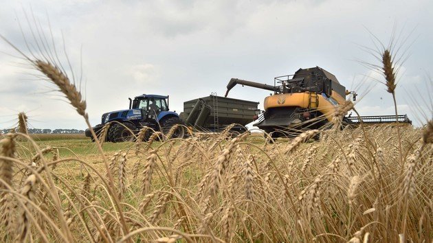 Как украинцы обходят запрет на продажу земли Картинка