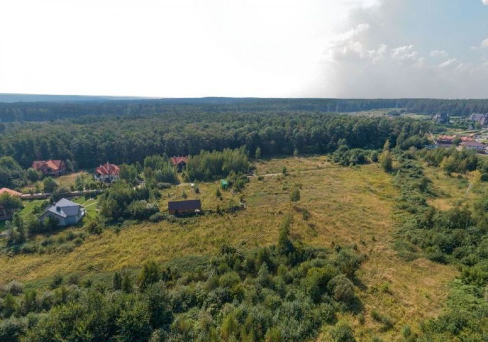 Фото: КГ Forest Villas - Коттедж