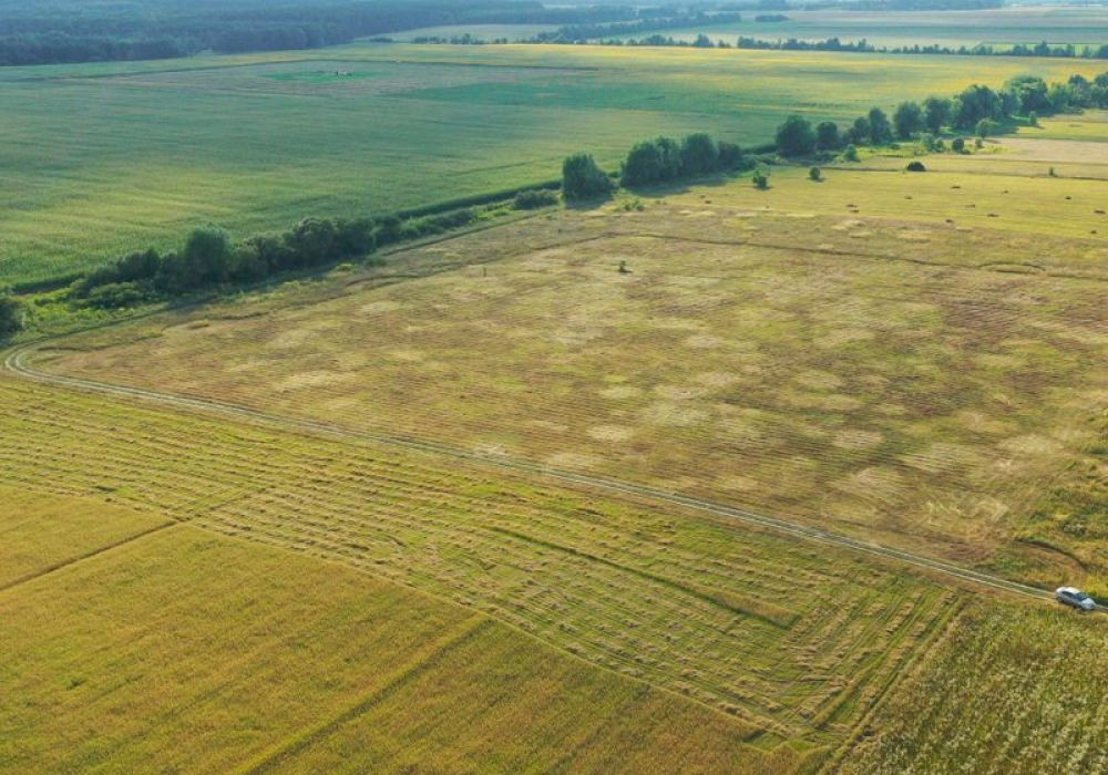 Фото: КГ "Луговой" - Участок Проект 8