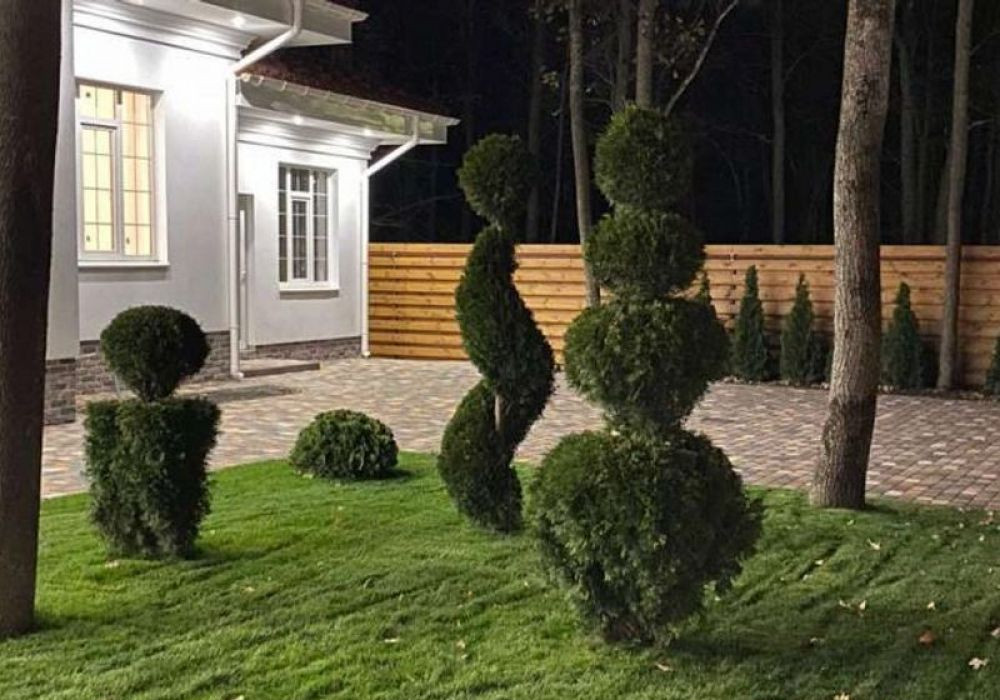 Проєкт 9