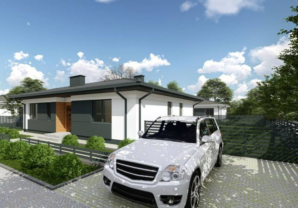 standart house