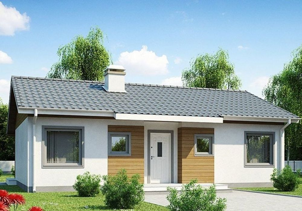 Фото: КГ "Лесной" в Лесном - Z7