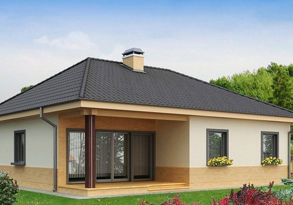 Фото: "Лісне" КМ у Лісному - Z24