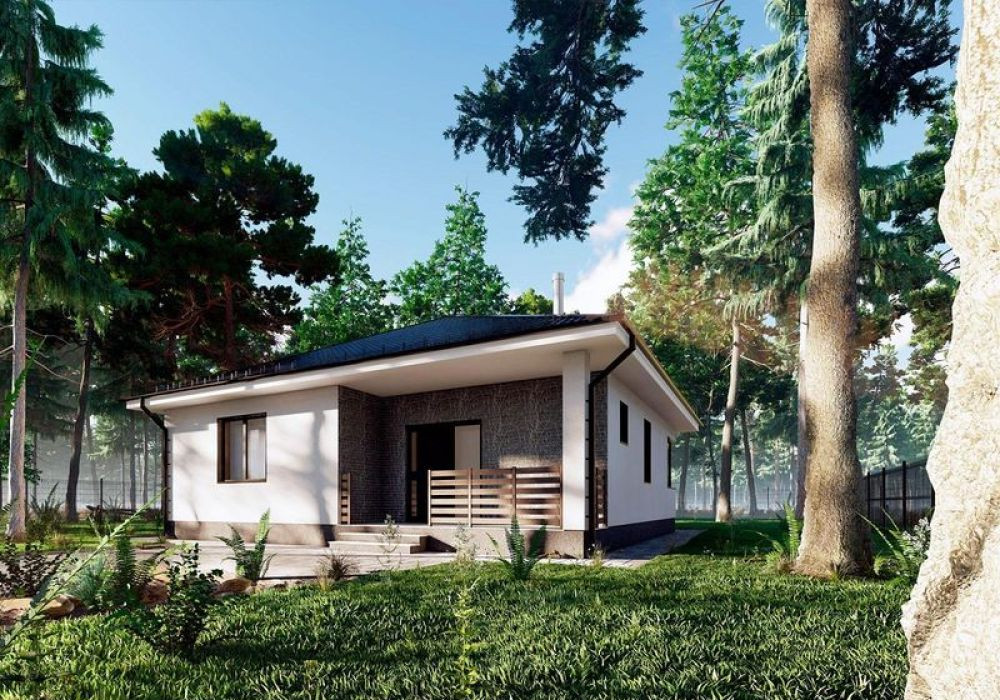 МИСЛИВСЬКИЙ