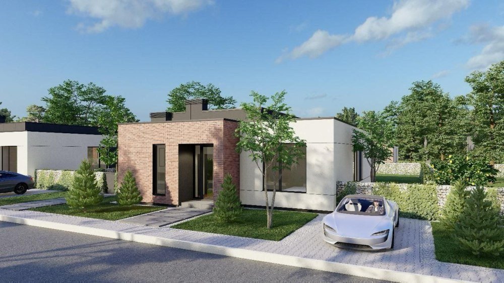 Фото: "Рославичи" КГ - Валенсия