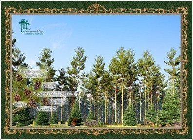 Фото: "Сосновый бор" КГ
