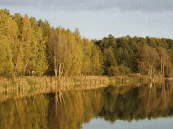 Фото: "Аліканте Резорт" КМ - Котедж