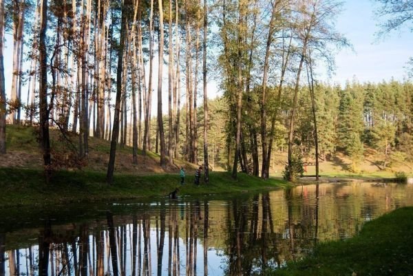 Фото: Swisstown КГ - Участок 9
